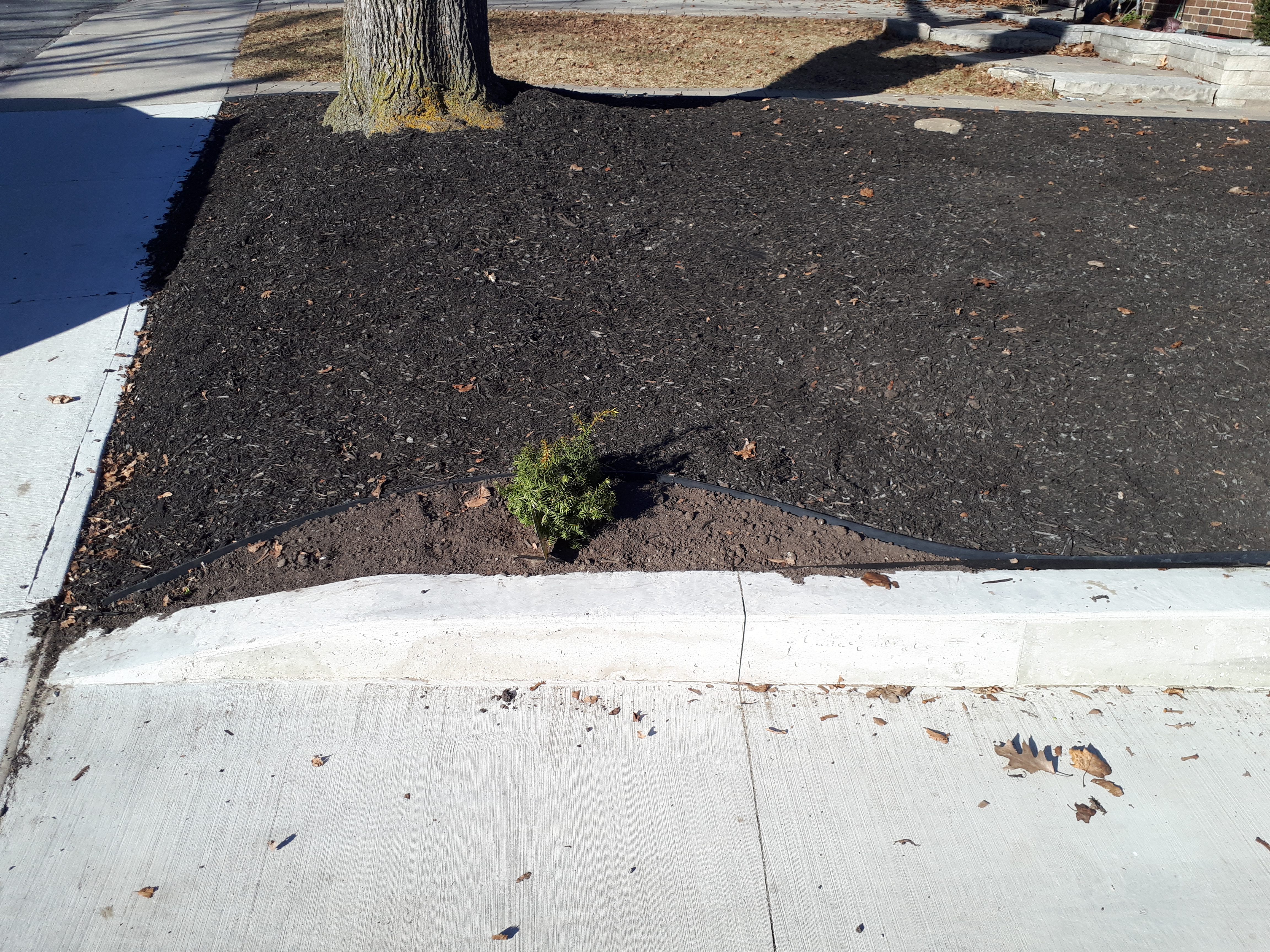 20180326 172258 | Northumberland Landscaping