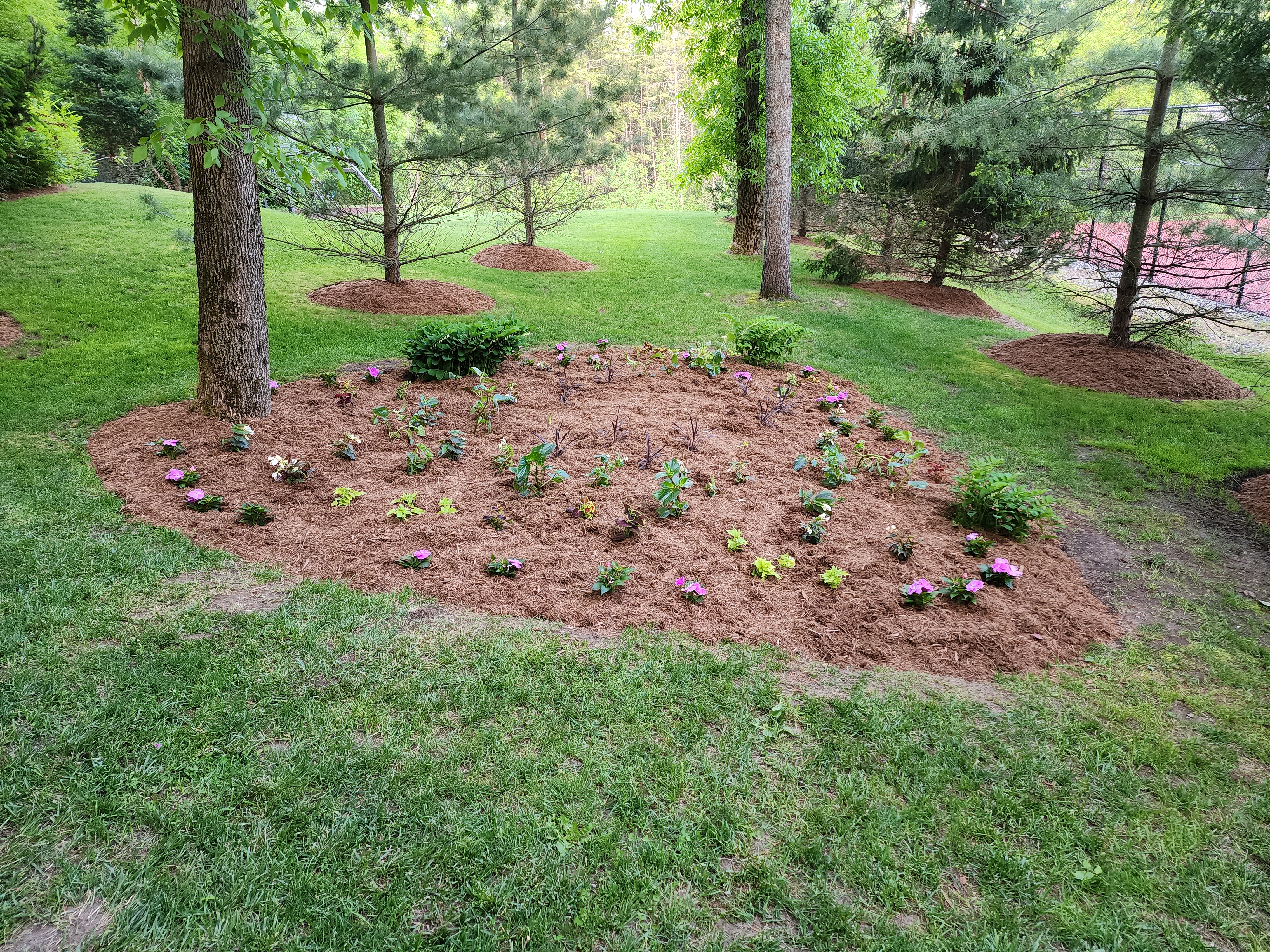 IMG 20230601 200452 | Northumberland Landscaping